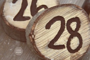 DIY-Wood-Slice-Table-Markers