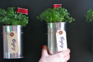 tin-can-planter-favors