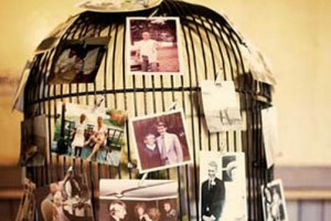 diy-birdcage-photo-display