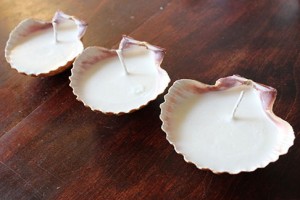 diy-seashell-candles