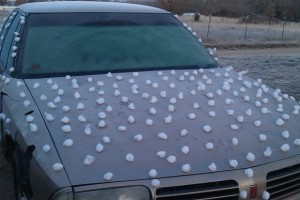 diy-cotton-ball-car-prank